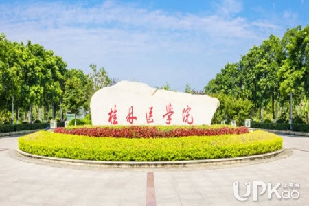 桂林医学院2021年本专科招生录取人数有多少