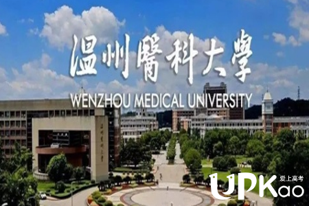 温州医科大学2022年三位一体综评招生录取办法是怎样的